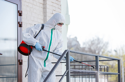Disinfection and Sanitization by Rhino Dubai
